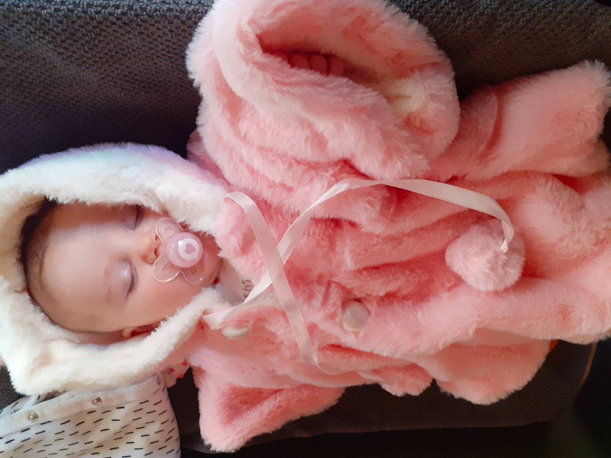 Solara a rejoint le concours — aidez-le/la à gagner de superbes lots ! carmine, cuisine, fashion_accessory, flower, fur, fur_clothing, garden_roses, hair_accessory, headgear, hybrid_tea_rose, nail, peach, person, petal, pink, rosa_centifolia, rose, rose_family, rose_order, sweetness