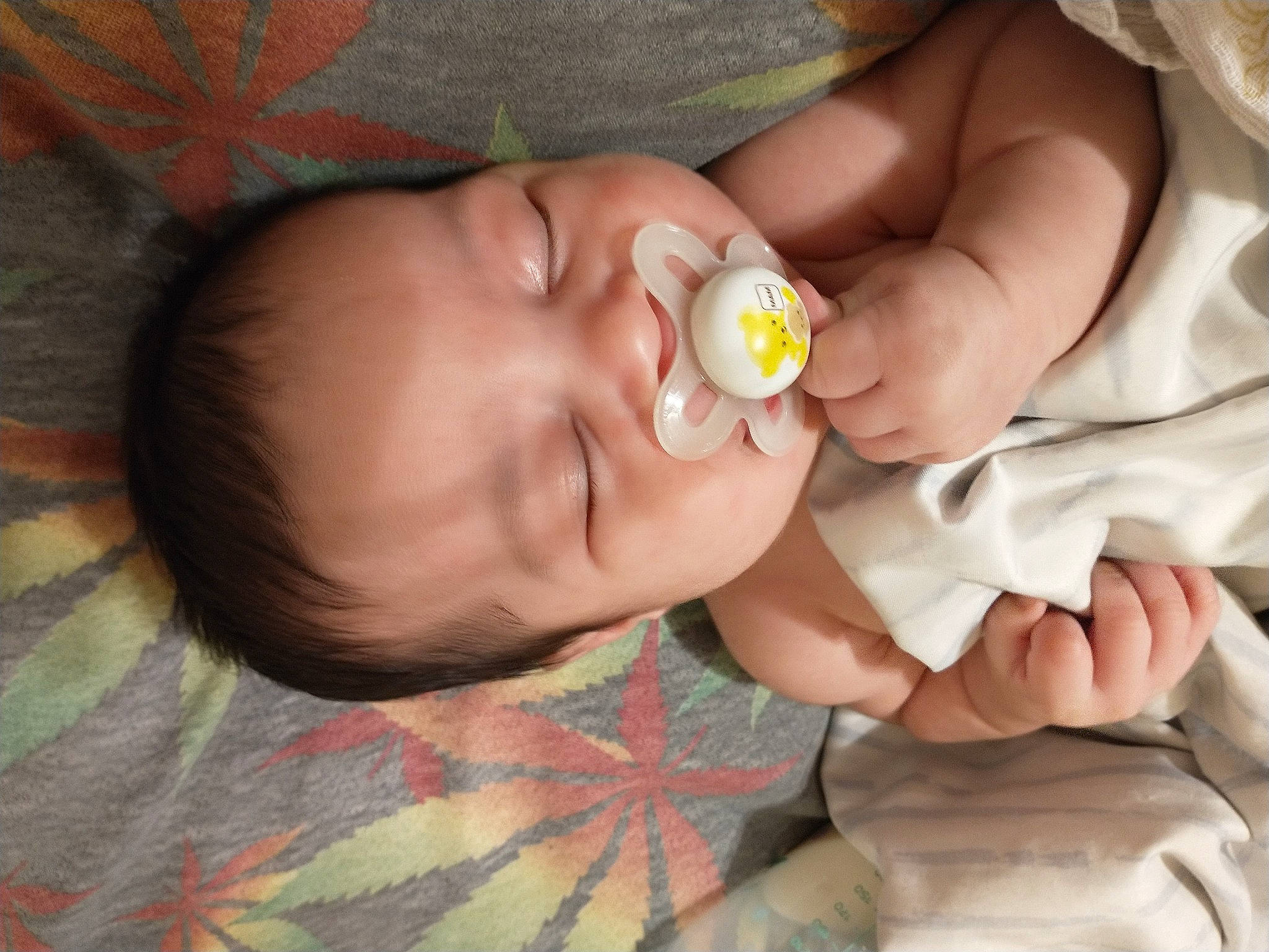 Cash is registered to the contest to win money with this photo: baby, baby_toddler_clothing, cheek, comfort, ear, eye, finger, gesture, hair, happy, head, iris, lip, mouth, nose, petal, skin, smile, thumb, toddler