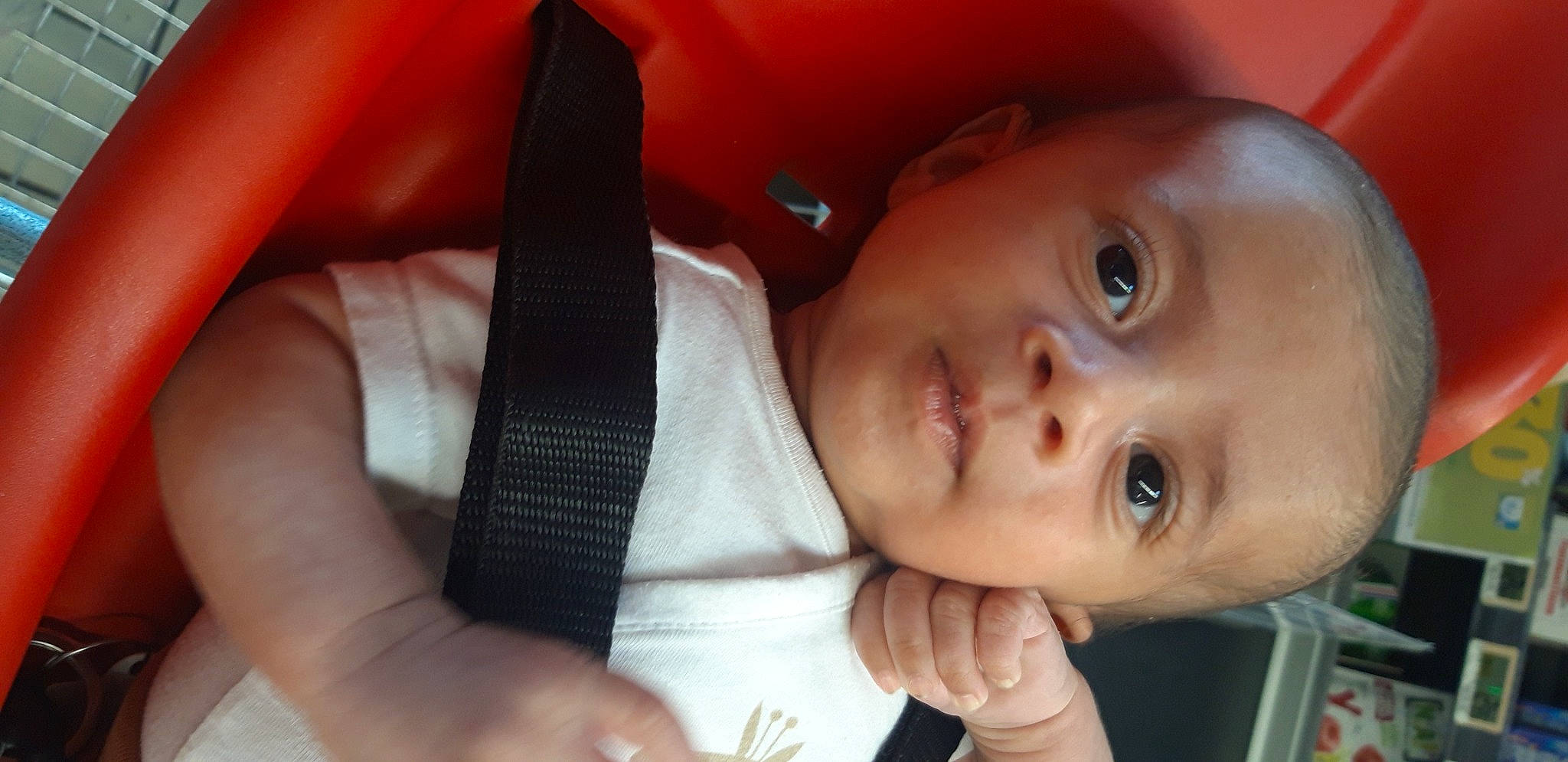 Malone a rejoint le concours — aidez-le/la à gagner de superbes lots ! baby, baby_toddler_clothing, cheek, child, ear, eyebrow, eyelash, finger, gesture, hand, happy, iris, lip, mouth, nail, nose, person, skin, smile, thumb