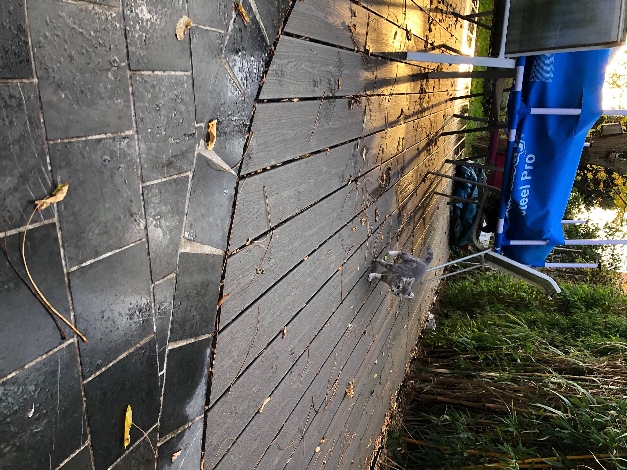 Vanille a rejoint le concours — aidez-le/la à gagner de superbes lots ! bicycle_tire, bicycle_wheel, bicycle_wheel_rim, building_material, natural_material, spoke, synthetic_rubber, tire_care