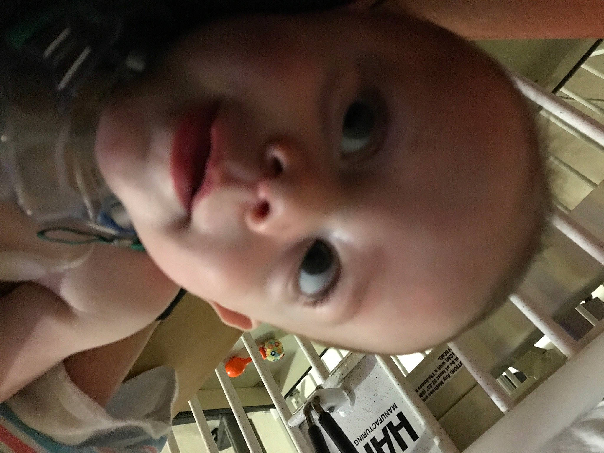 Kash is registered to the contest to win money with this photo: baby, baby_products, beauty, cheek, child, ear, eyebrow, eyelash, finger, flash_photography, forehead, fun, jaw, lip, mouth, nose, organ, person, skin, smile