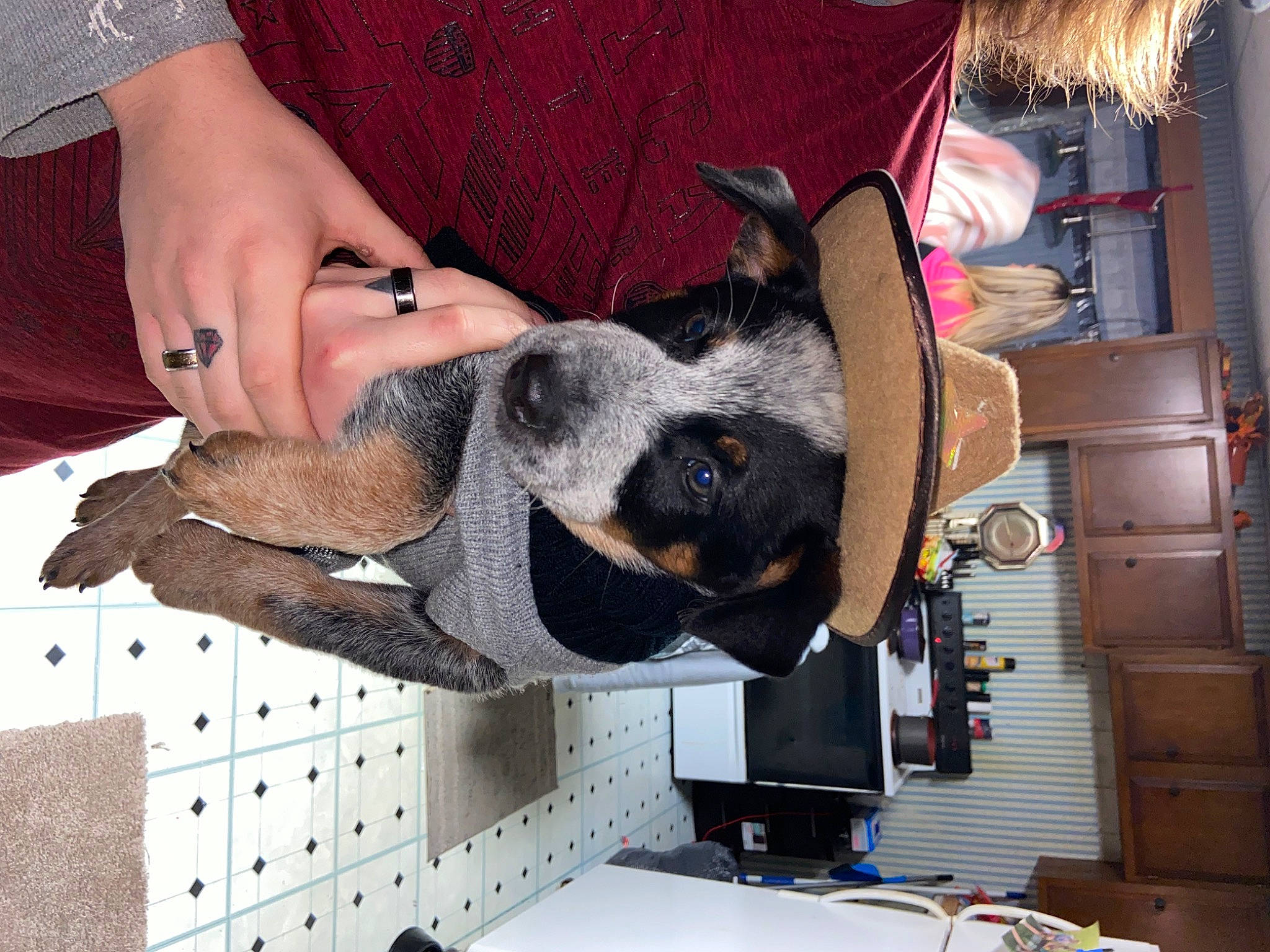 Huckleberry Finn joined the competition — help win amazing prizes! carmine, carnivore, collar, comfort, companion_dog, dog, dog_breed, ear, fawn, flooring, fur, hand, nail, pattern, sleeve, snout, sporting_group, working_animal, wrist