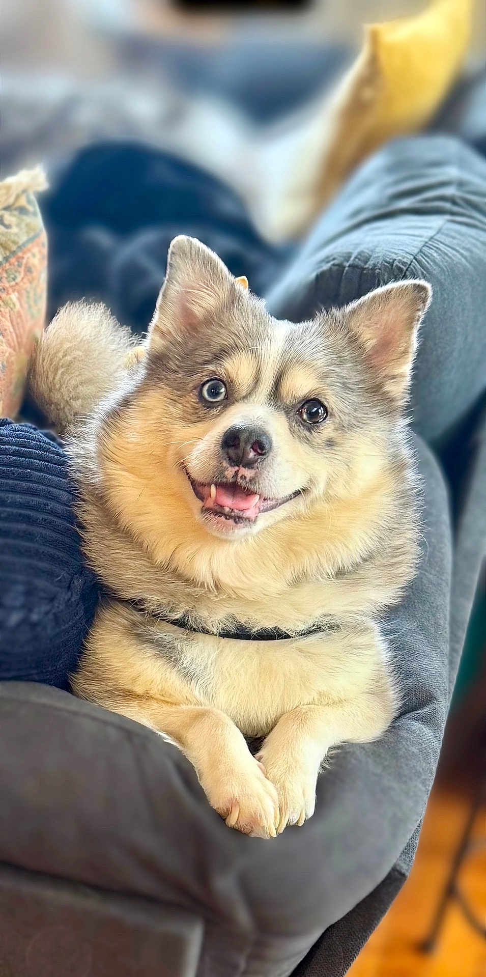 Rosie