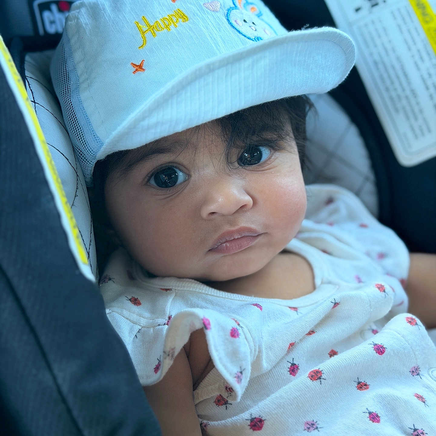 Jeev joined the competition — help win amazing prizes! baby, child, face, hat, cap, bunny_ears, car_seat, clothing, white_outfit, ladybug_print, cute, portrait, infant, seatbelt, indoors, person, closeup, expression, young_child, sitting