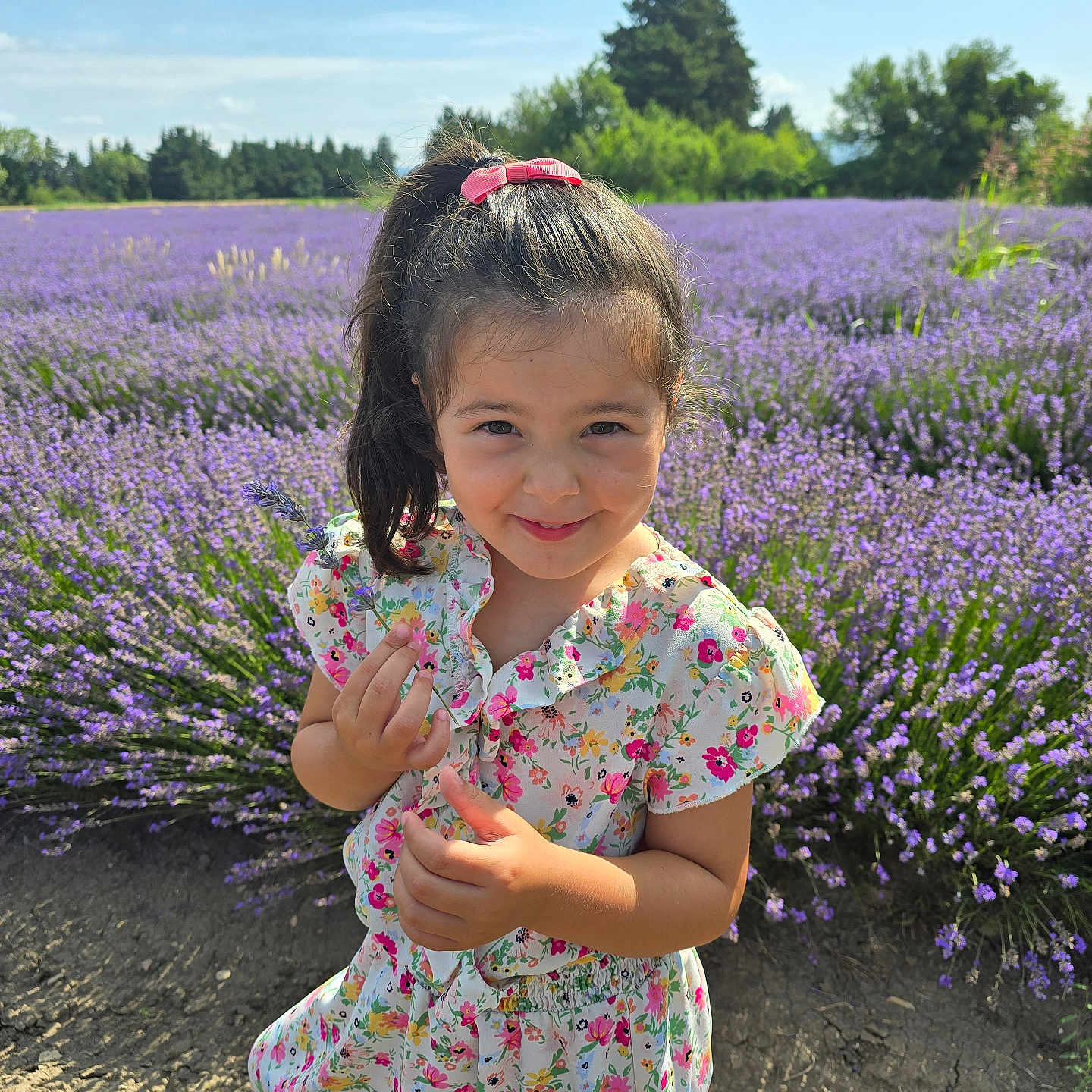 Chelsea participe au concours pour gagner de l'argent avec cette photo : child, face, female, field, flower, geranium, girl, grass, head, herbal, herbs, lavender, lupin, outdoors, person, photography, plant, portrait, purple, vegetation