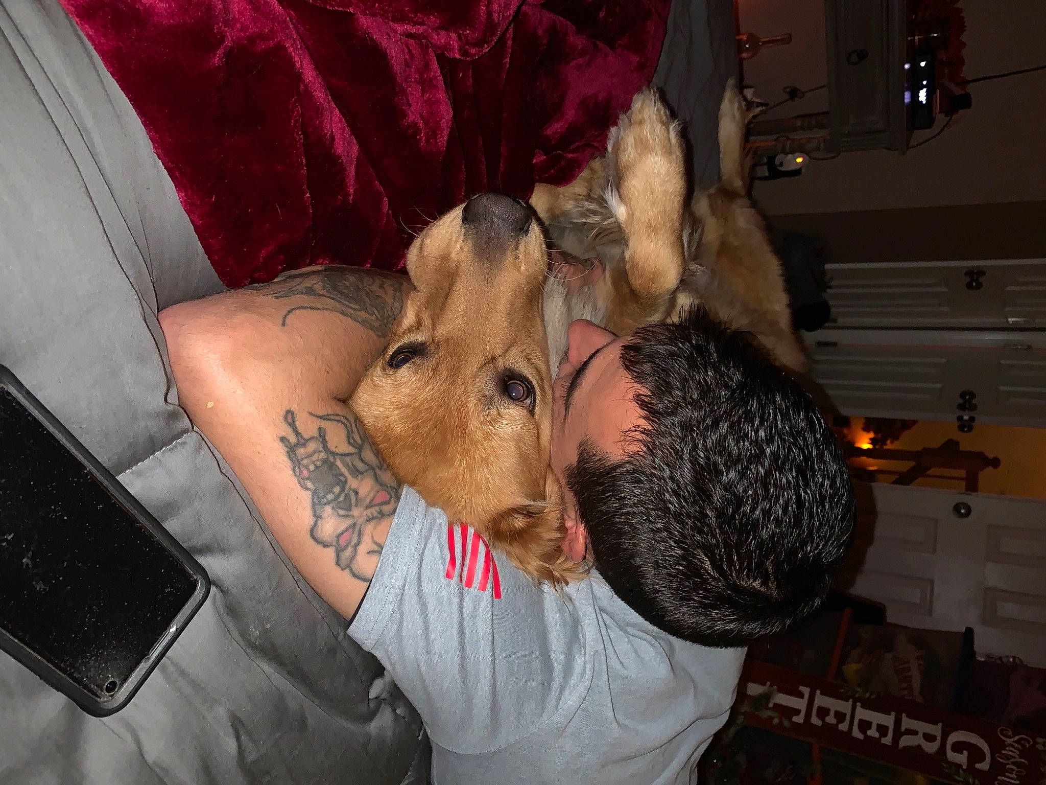 Gracie is registered to the contest to win money with this photo: canidae, carnivore, communication_device, dog, dog_breed, everyday_carry, fur, gadget, iphone, mobile_device, mobile_phone, portable_communications_device, smartphone, snout, telephone, telephony, working_animal