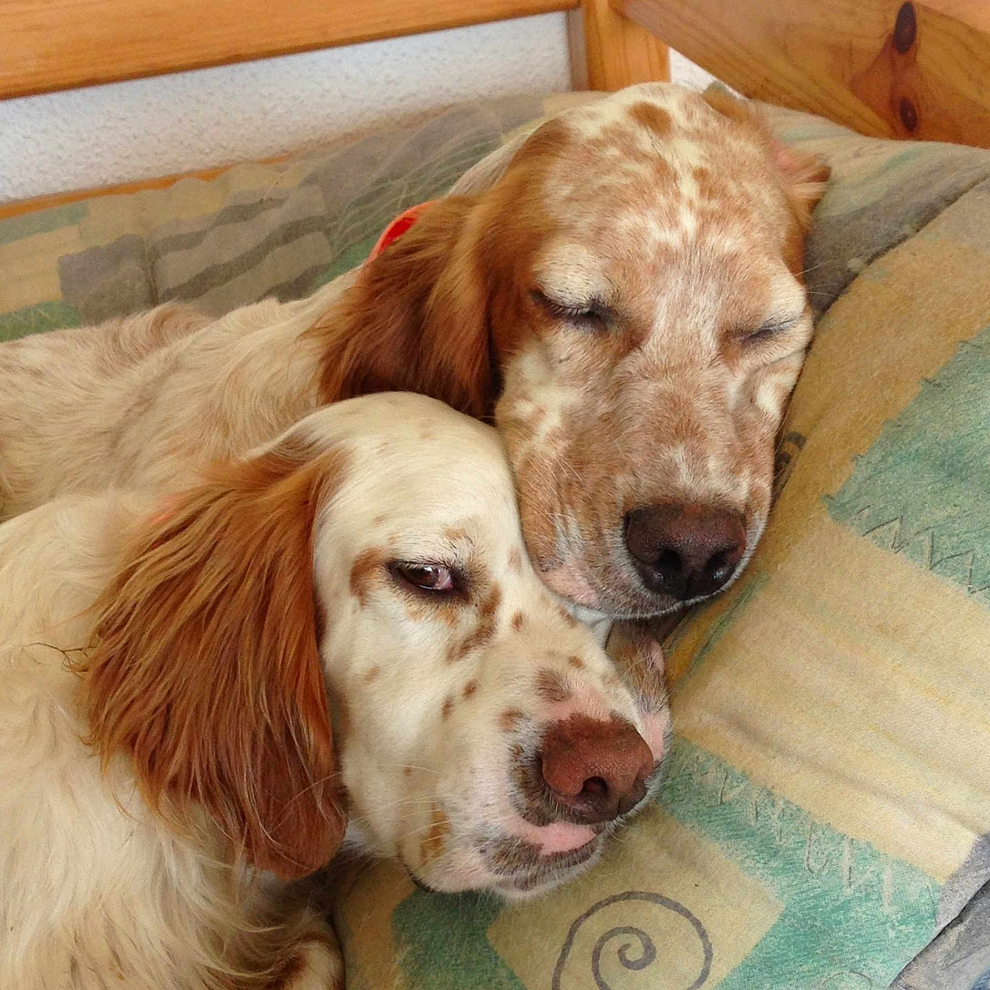 Jazz Et Ghost