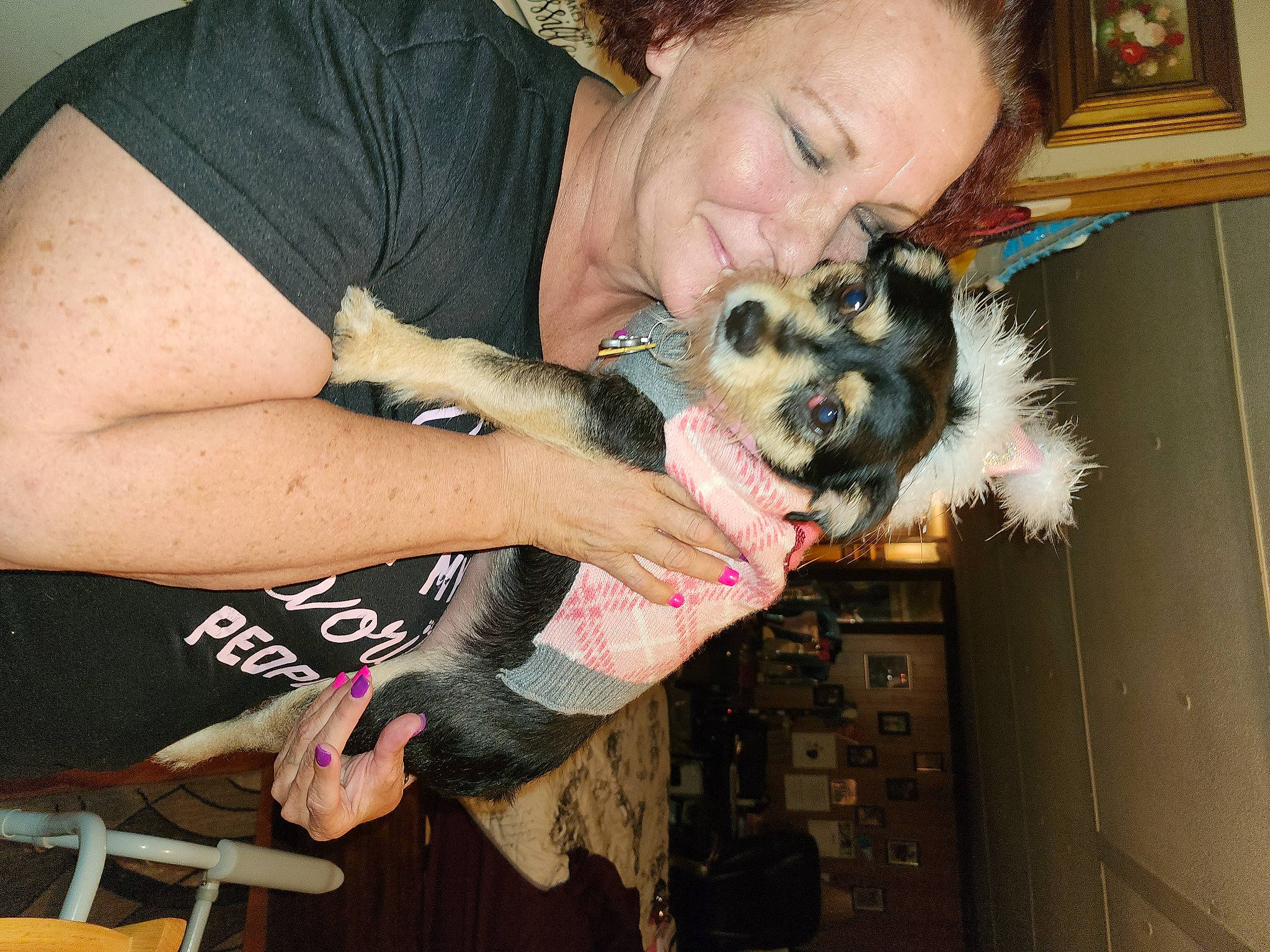 Bella is registered to the contest to win money with this photo: arm, beard, canidae, carnivore, companion_dog, dog, dog_breed, ear, eyewear, fawn, fun, fur, happy, lap, paw, picture_frame, smile, sporting_group, toy_dog, wrist