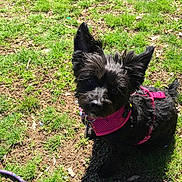 Isabelle is registered to the contest to win money with this photo: