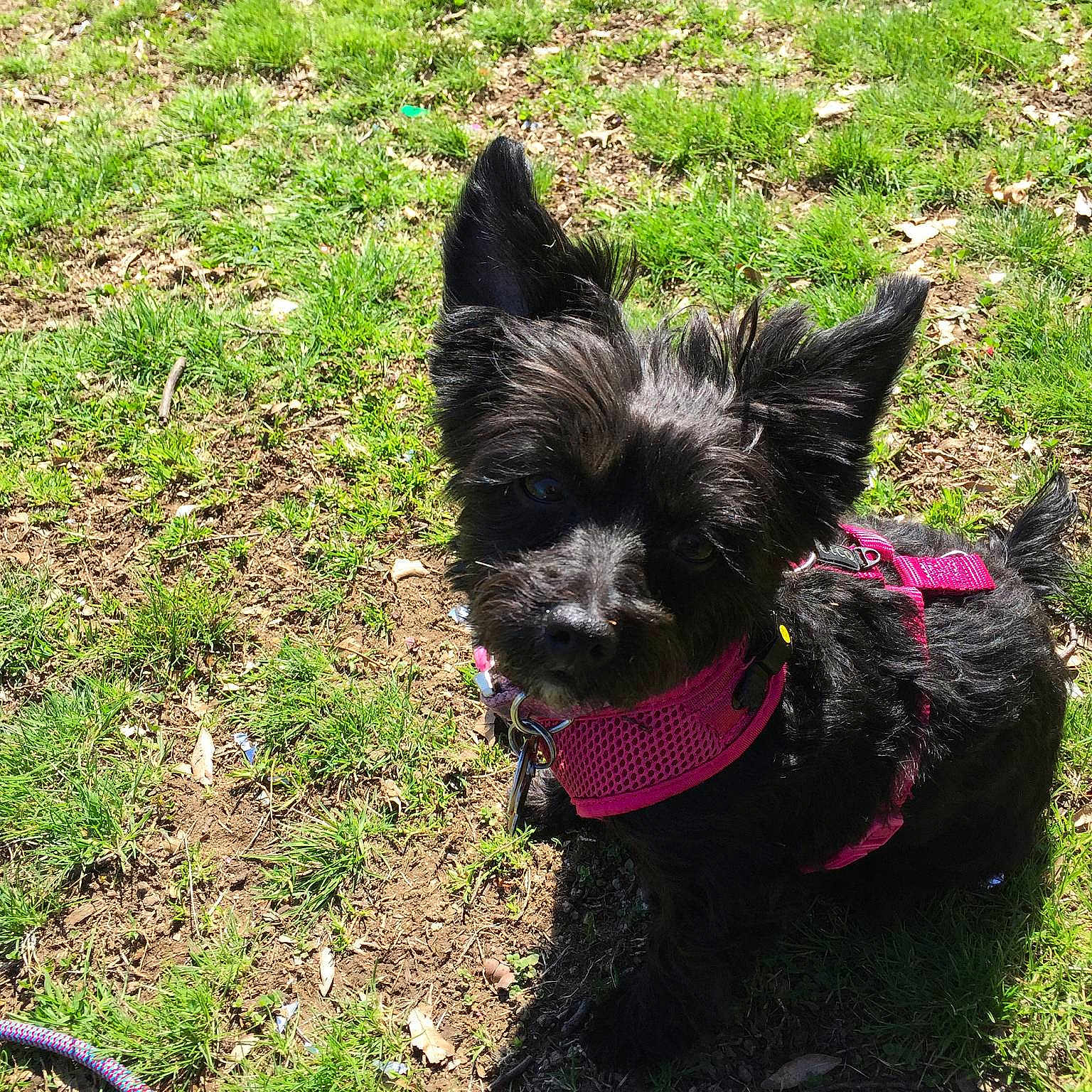 Isabelle is registered to the contest to win money with this photo:
