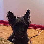 Brooklyn is registered to the contest to win money with this photo: