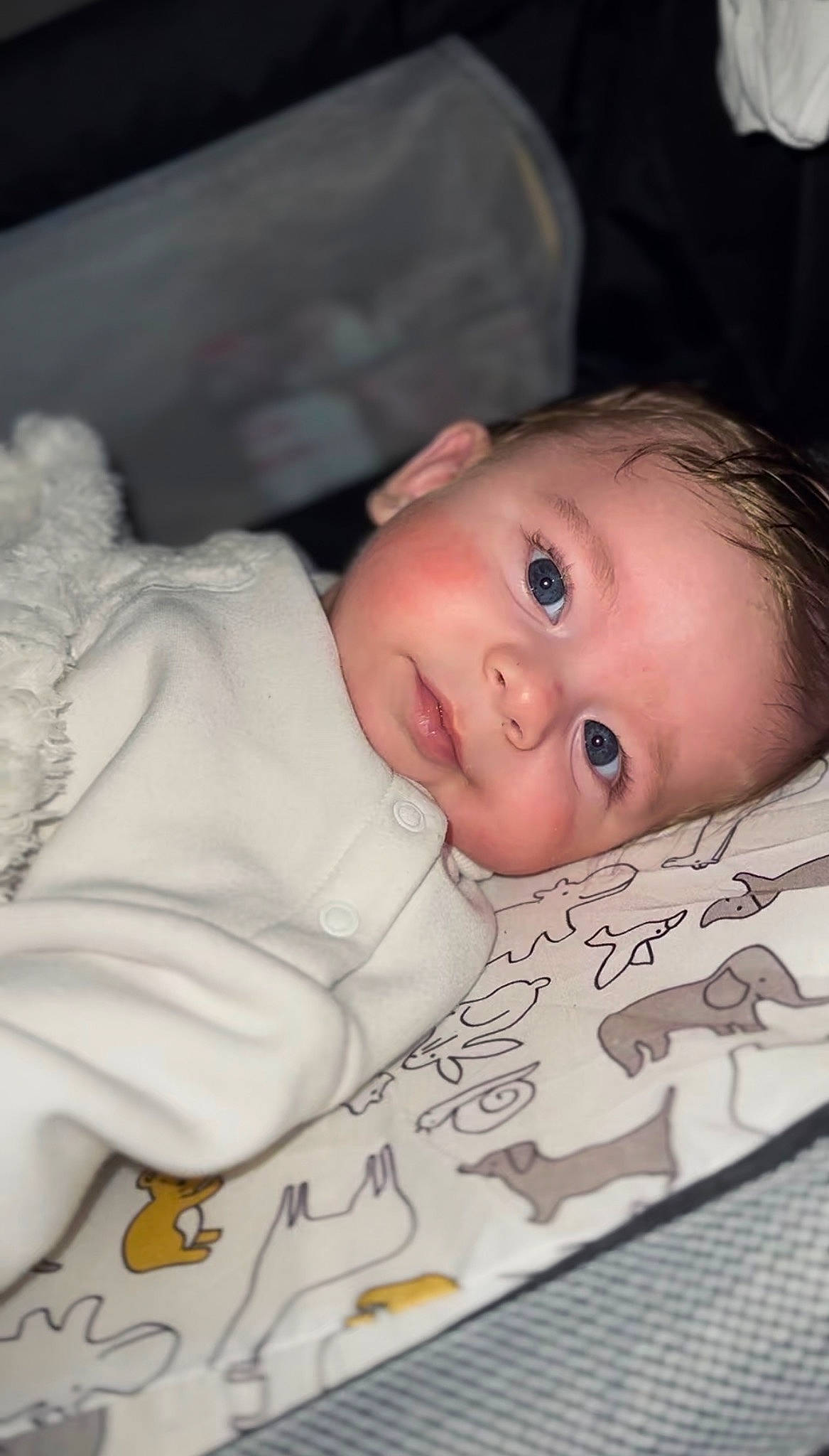 Lélio a rejoint le concours — aidez-le/la à gagner de superbes lots ! baby, baby_toddler_clothing, cheek, child, chin, comfort, eye, eyebrow, eyelash, happy, iris, lip, nose, person, sitting, skin, sleeve, smile, textile, toddler