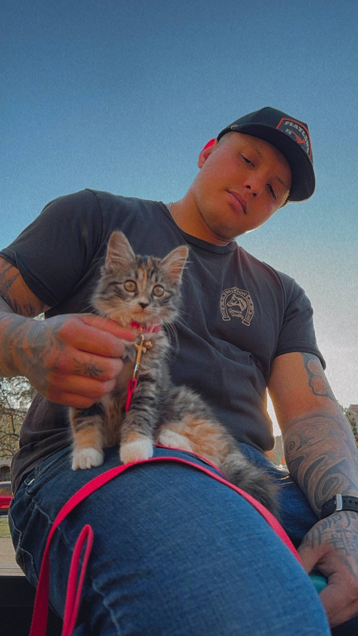 Oneida May is registered to the contest to win money with this photo: arm, baseball_cap, cap, carnivore, cat, domestic_short_haired_cat, elbow, felidae, fur, gesture, hand, happy, hat, lap, sitting, sky, small_to_medium_sized_cats, t_shirt, travel, whiskers