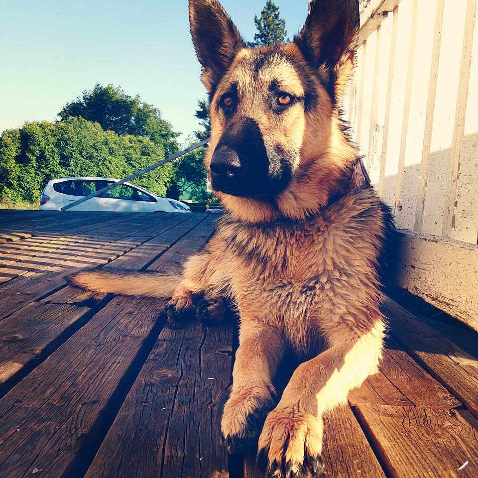 Sam