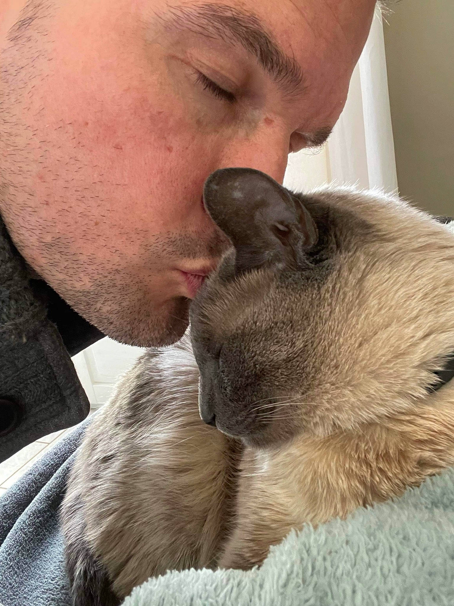 Indy joined the competition — help win amazing prizes! beard, comfort, companion_dog, dog_breed, domestic_short_haired_cat, ear, eyelash, facial_hair, fawn, felidae, fur, marsupial, nose, small_to_medium_sized_cats, snout, terrestrial_animal, wallaby, whiskers, wildlife_biologist, wrinkle