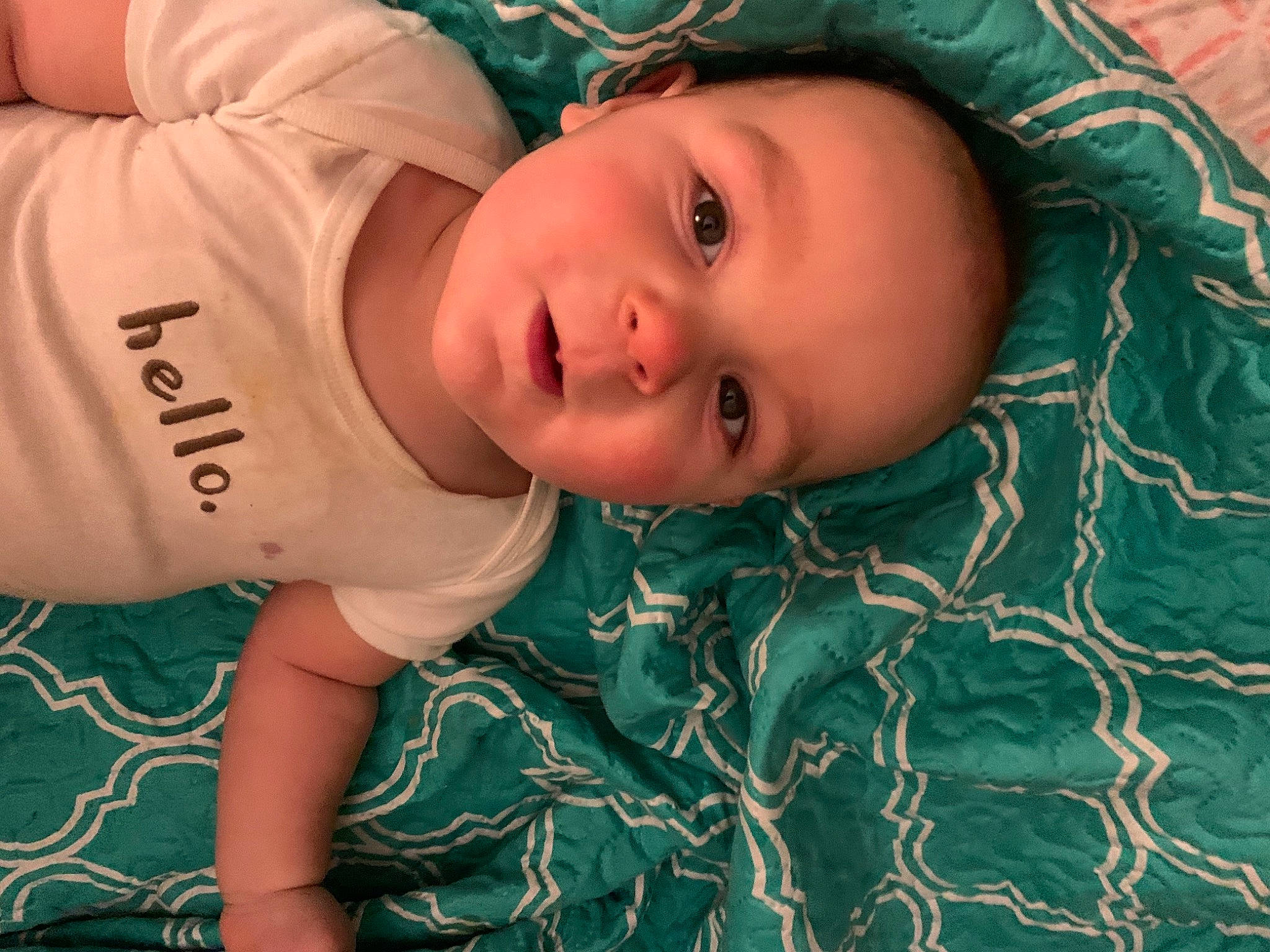 Jaseph is registered to the contest to win money with this photo: chest, child, chin, eye, eyebrow, eyelash, face, grass, happy, head, headgear, iris, lip, mouth, neck, nose, person, skin, toddler, tree