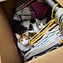 Trika Enebro is registered to the contest to win money with this photo: calico_cat, cardboard_box, cat, closeup, clothes, companions, cozy, curious, domestic_animal, feline, fur, hanger, household, indoor, looking_up, pets, resting, storage, striped_cat, two_cats