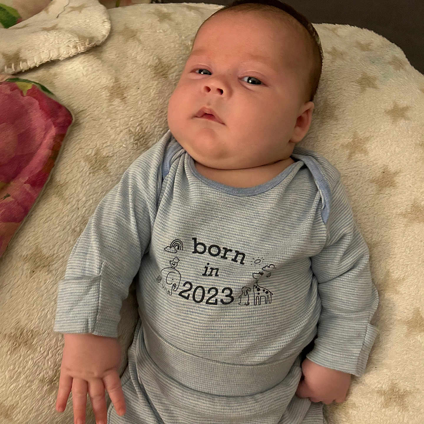Hudson joined the competition — help win amazing prizes! applique, baby, bed, bedroom, blanket, bodypart, clothing, couch, crib, cushion, face, finger, furniture, hand, happy, head, homedecor, indoors, infantbed, jeans