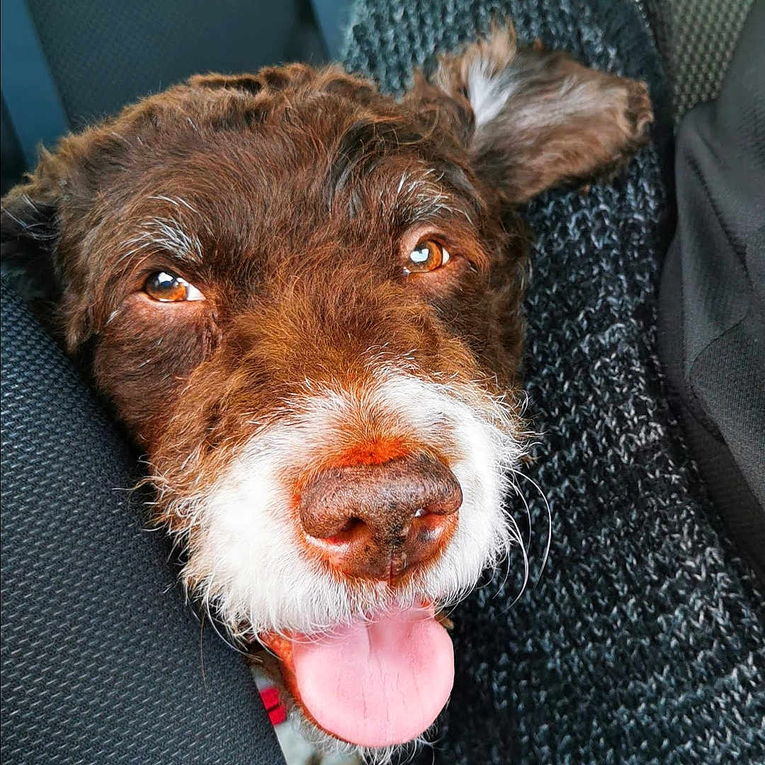 Koby Bryant De Jesus