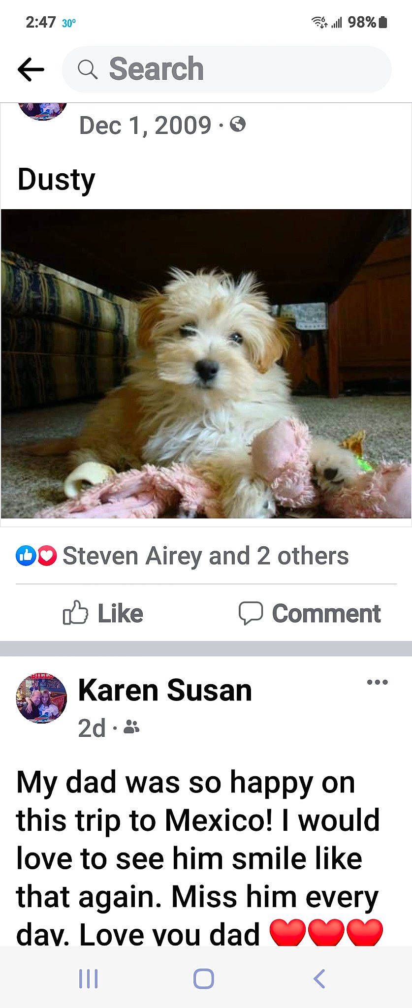 Dusty is registered to the contest to win money with this photo: advertising, canidae, carnivore, companion_dog, dog, dog_breed, dog_supply, font, photo_caption, screenshot, sharing, small_terrier, sporting_group, toy_dog, water_dog, yorkipoo