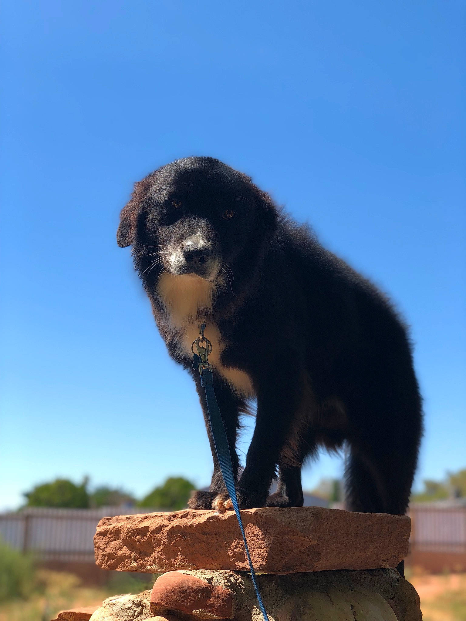 Jerry joined the competition — help win amazing prizes!