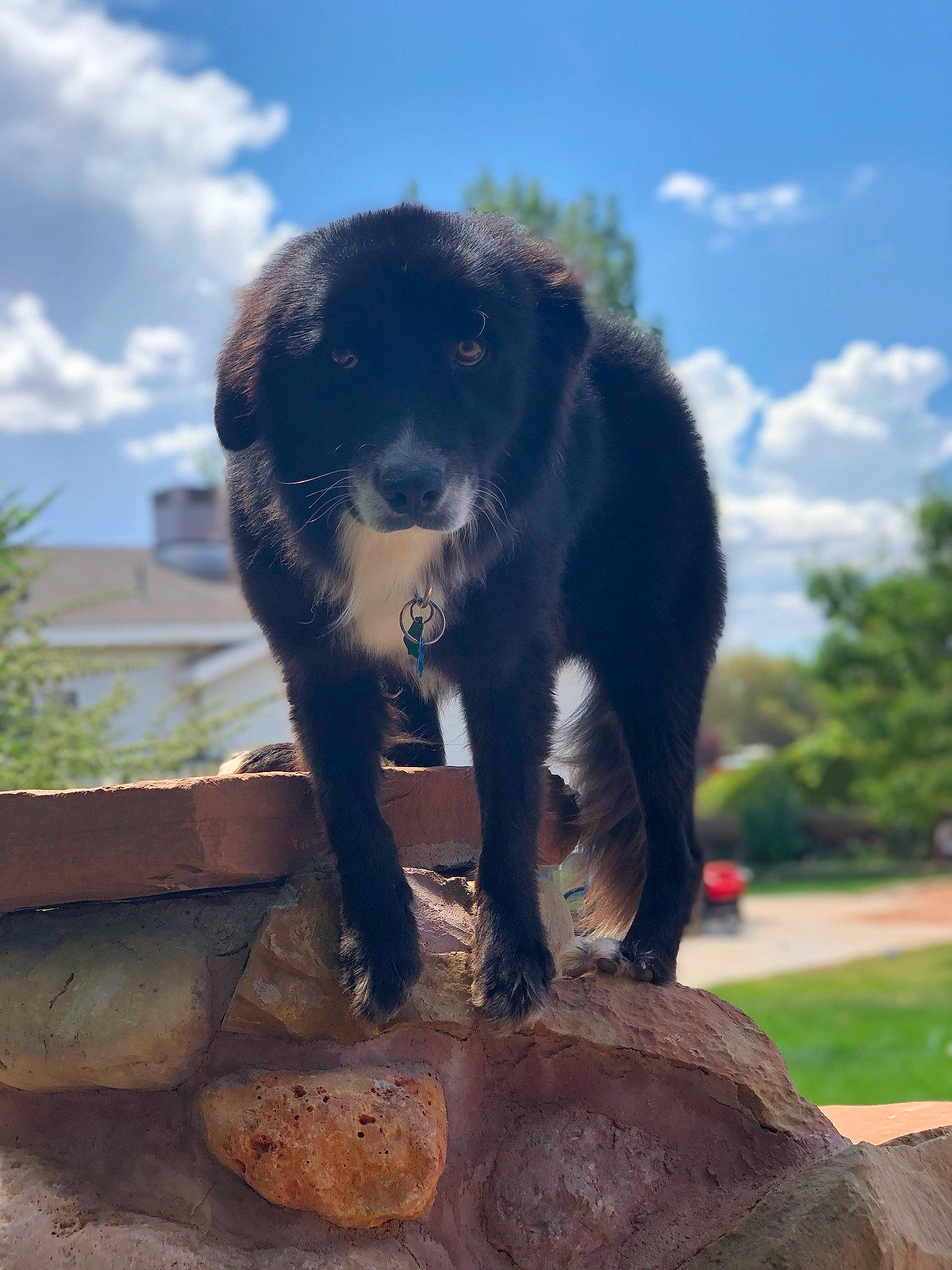 Jerry is registered to the contest to win money with this photo: