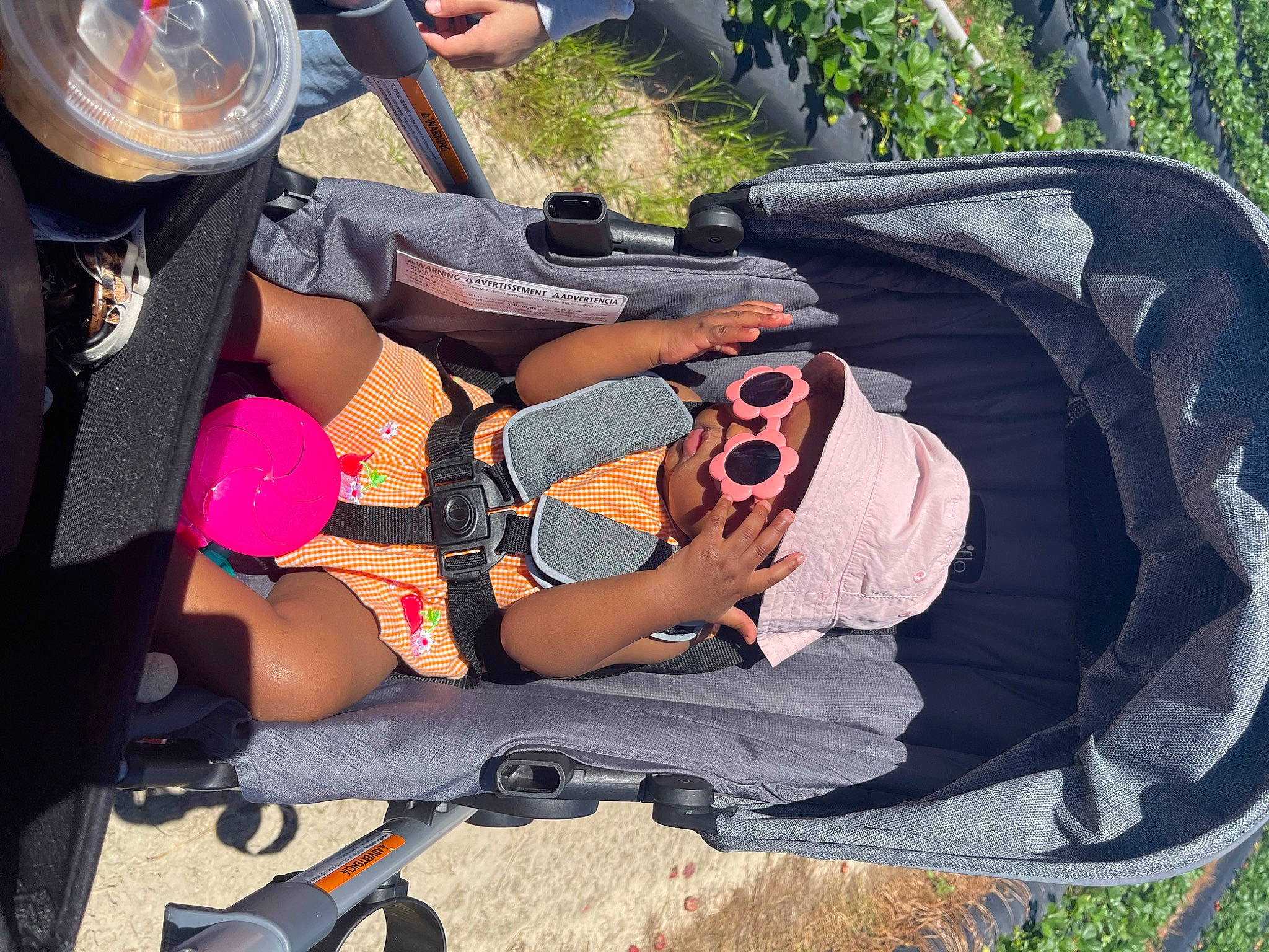 Haven joined the competition — help win amazing prizes! auto_part, automotive_exterior, automotive_tire, baby_products, bag, baggage, fun, grass, hat, human_leg, leisure, luggage_and_bags, motor_vehicle, person, personal_protective_equipment, plant, recreation, shorts, sports_equipment, thigh