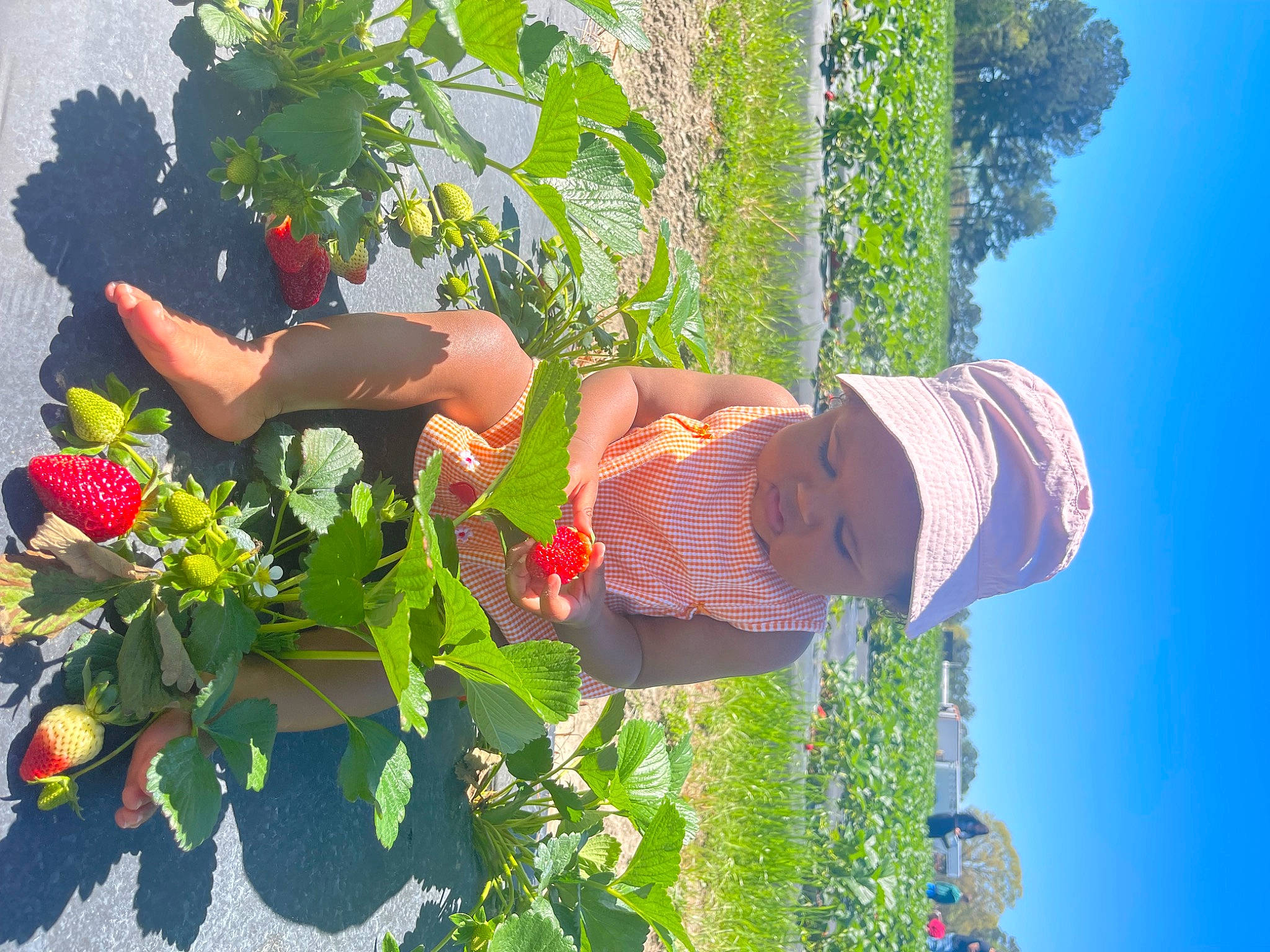 Haven is registered to the contest to win money with this photo: annual_plant, blue, botany, electric_blue, flower, fun, grass, happy, hat, headwear, leaf, leisure, people_in_nature, person, petal, plant, sky, spring, summer, sun_hat