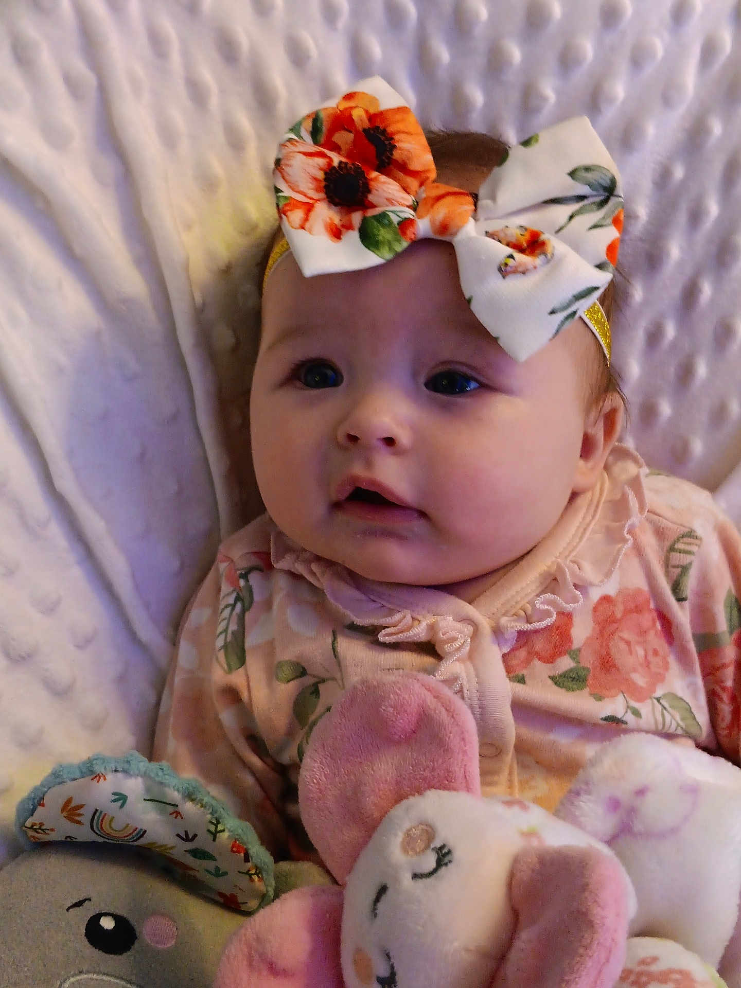 Grace is registered to the contest to win money with this photo: baby, infant, child, bow, headband, floral, onesie, plush_toy, stuffed_animal, blanket, bedding, portrait, closeup, cheeks, eyes, gaze, cozy, nursery, pink, soft_texture