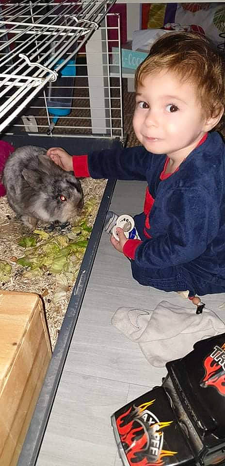 Adriàn participe au concours pour gagner de l'argent avec cette photo : animal_shelter, baby_toddler_clothing, cage, child, fawn, fur, hamster, marsupial, mouse, muroidea, packrats, person, pest, pet_supply, rabbit, rat, rodent, sleeve, toddler, whiskers