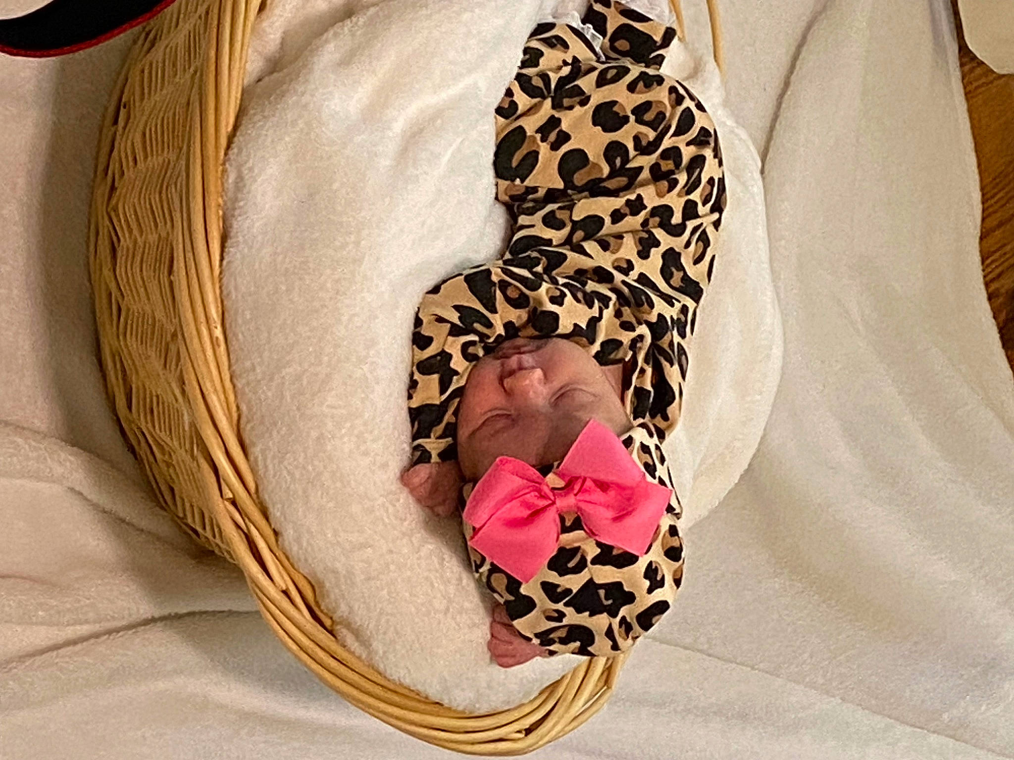 Morgan is registered to the contest to win money with this photo: baby, baby_products, baby_sleeping, baby_toddler_clothing, bag, basket, child, circle, comfort, fashion_accessory, fawn, hair_accessory, headwear, linens, magenta, pattern, person, room, sleeve, textile