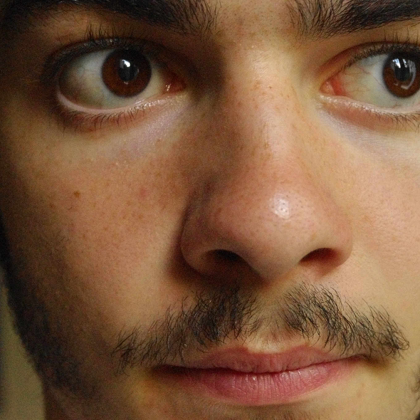 Chienne participe au concours pour gagner de l'argent avec cette photo : beard, black_hair, brown, cheek, chin, cool, ear, eyebrow, eyelash, facial_expression, flash_photography, forehead, hairstyle, human_body, iris, jaw, lip, mouth, nose, skin