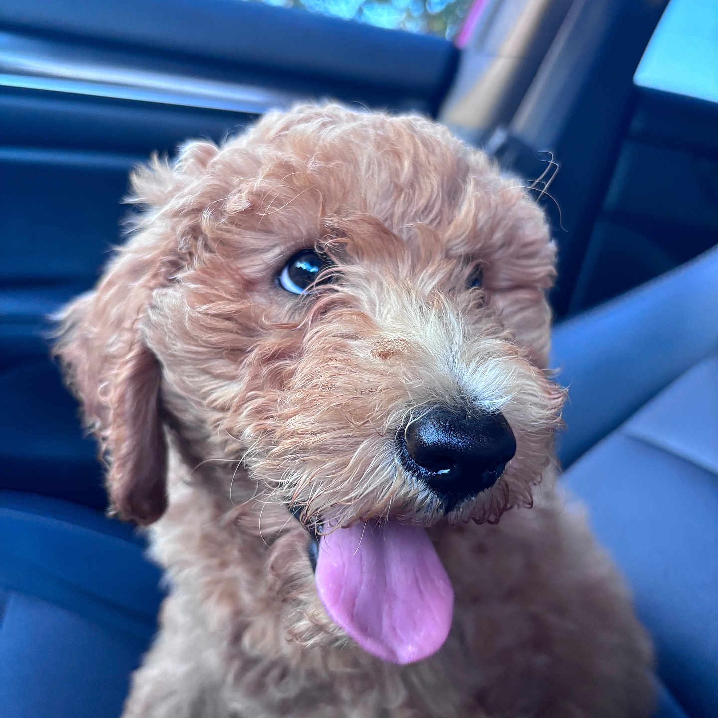 Winnie
