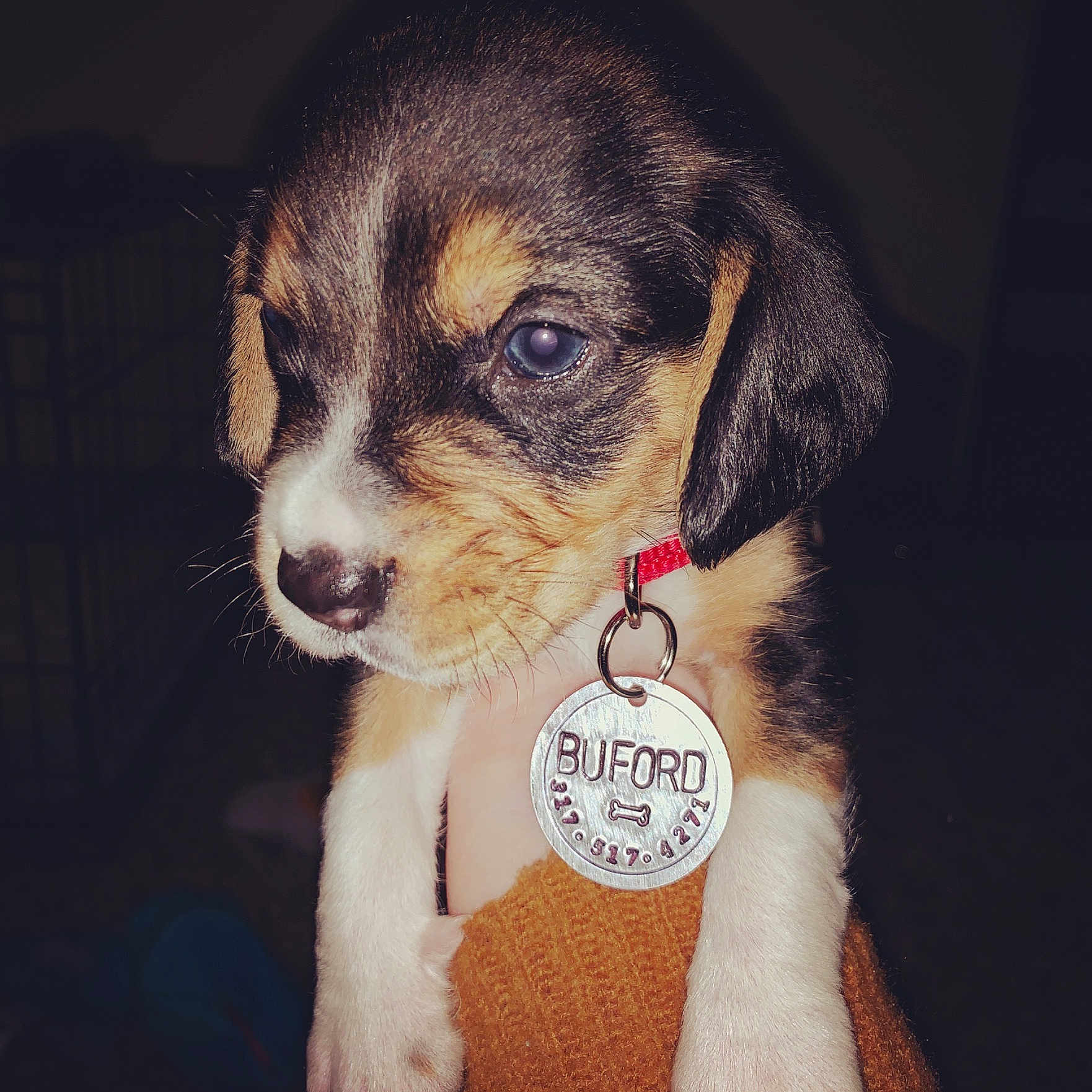 Buford