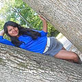 Irania M.