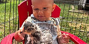 Darryn is registered to the contest to win money with this photo: toddler, child, chick, bird, animal, outdoor, grass, red_chair, overalls, denim, fence, greenery, sunlight, nature, baby, person, summer, cute, pet, playful