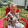 toddler, child, chick, bird, animal, outdoor, grass, red_chair, overalls, denim, fence, greenery, sunlight, nature, baby, person, summer, cute, pet, playful