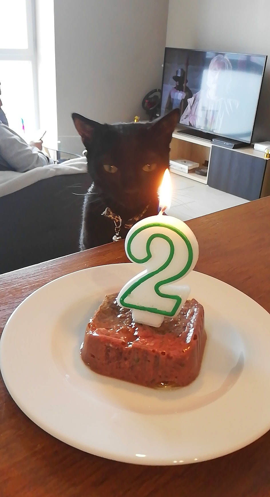 Molly participe au concours pour gagner de l'argent avec cette photo : baked_goods, birthday_cake, birthday_candle, cake, cake_decorating, candle, cat, cuisine, dish, dishware, food, frozen_dessert, icing, ingredient, plate, serveware, table, tableware, television, window