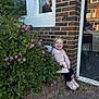 child, toddler, smiling, jacket, sneakers, brick_wall, bush, flowers, greenery, outdoor, daylight, window, sidewalk, plant, nature, happy, person, casual_clothing, building, reflection