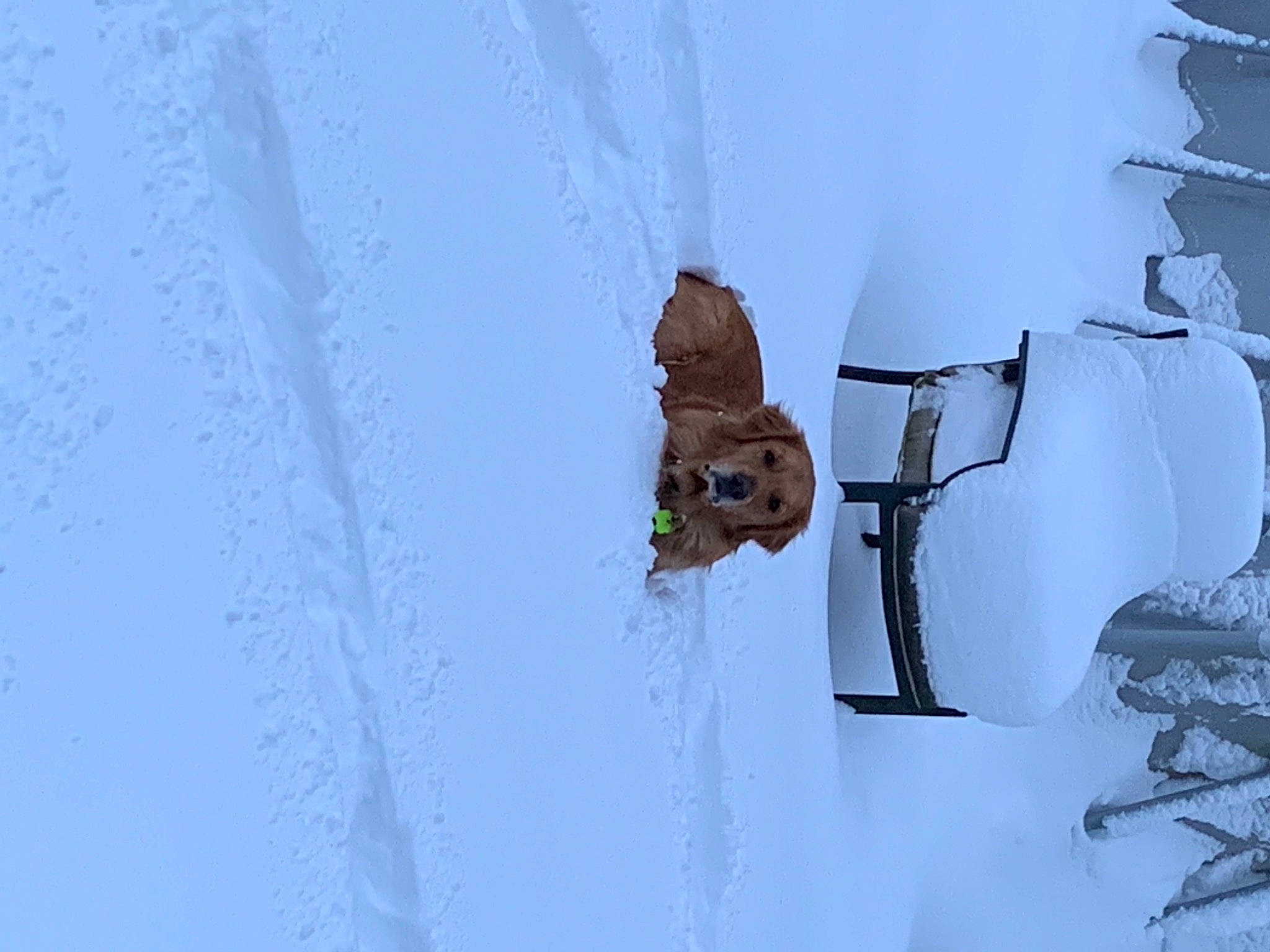 Avery is registered to the contest to win money with this photo: arctic, art, branch, child_art, drawing, electric_blue, font, freezing, frost, glacial_landform, hat, ice_cap, illustration, slope, snow, snowman, twig, visual_arts, winter, wood