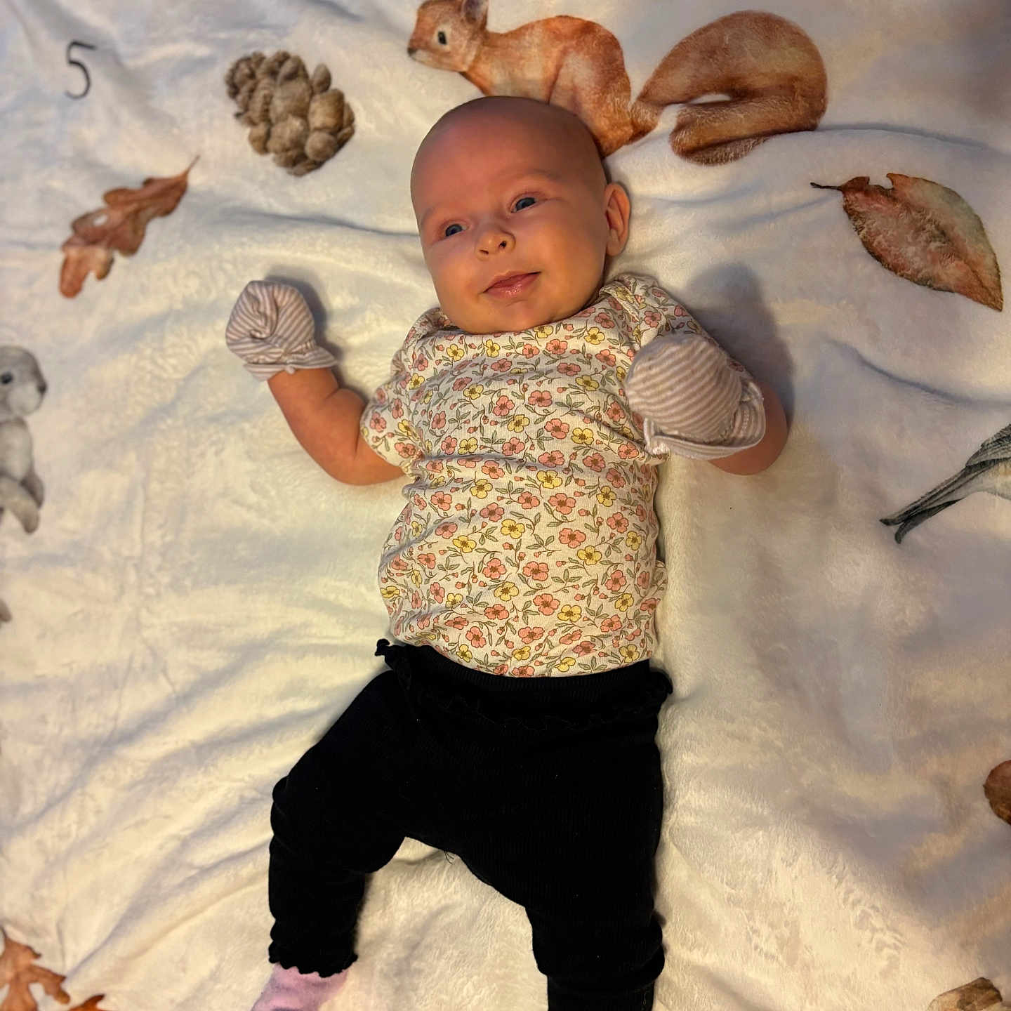 Dianna is registered to the contest to win money with this photo: animal_illustrations, autumn_leaves, baby, blanket, child, cozy, cute, floral_clothing, happy, indoor, infant, lying_down, mittens, playful, portrait, smile, socks, soft_texture, warm, young