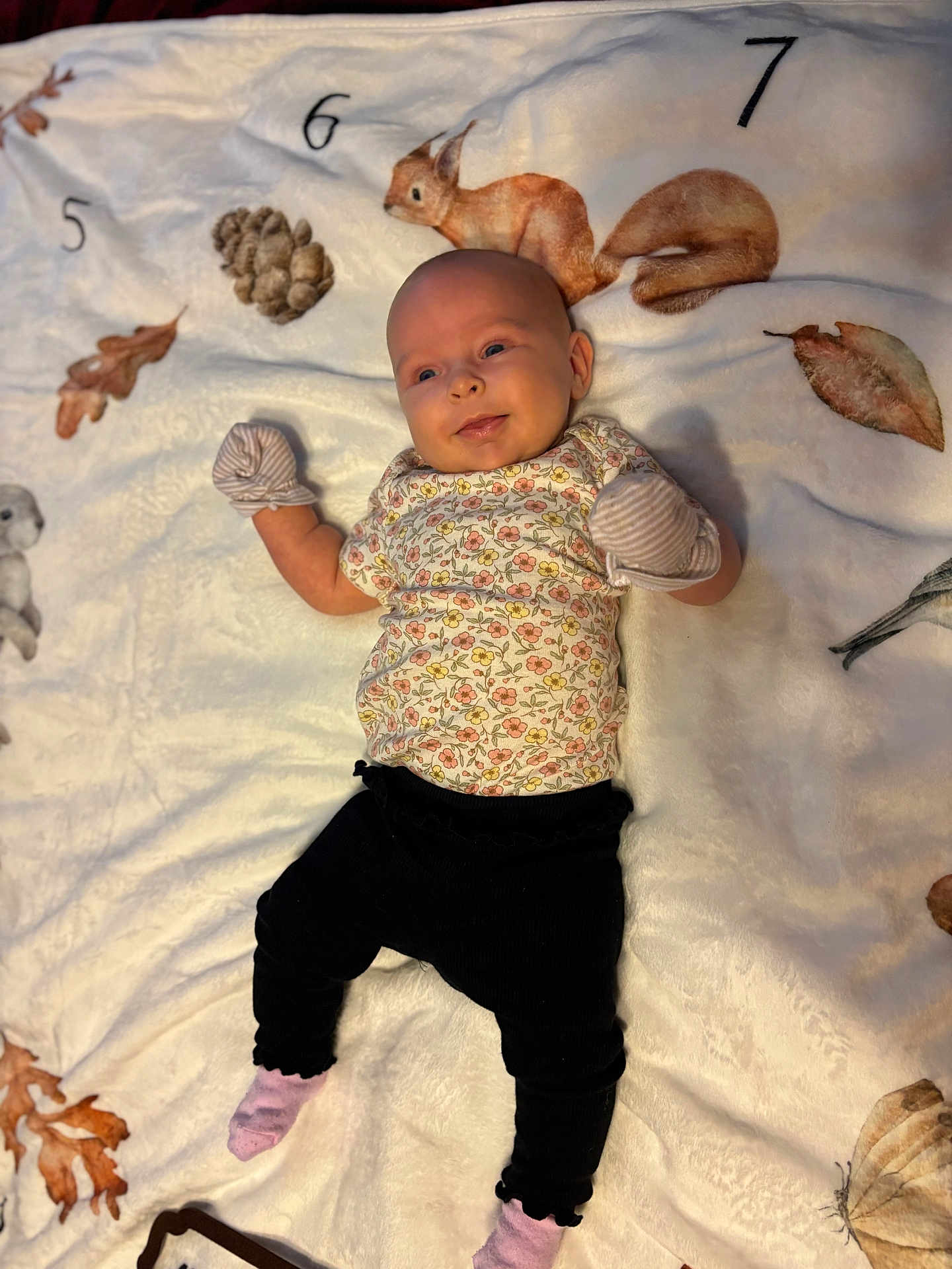 Dianna is registered to the contest to win money with this photo: animal_illustrations, autumn_leaves, baby, blanket, child, cozy, cute, floral_clothing, happy, indoor, infant, lying_down, mittens, playful, portrait, smile, socks, soft_texture, warm, young