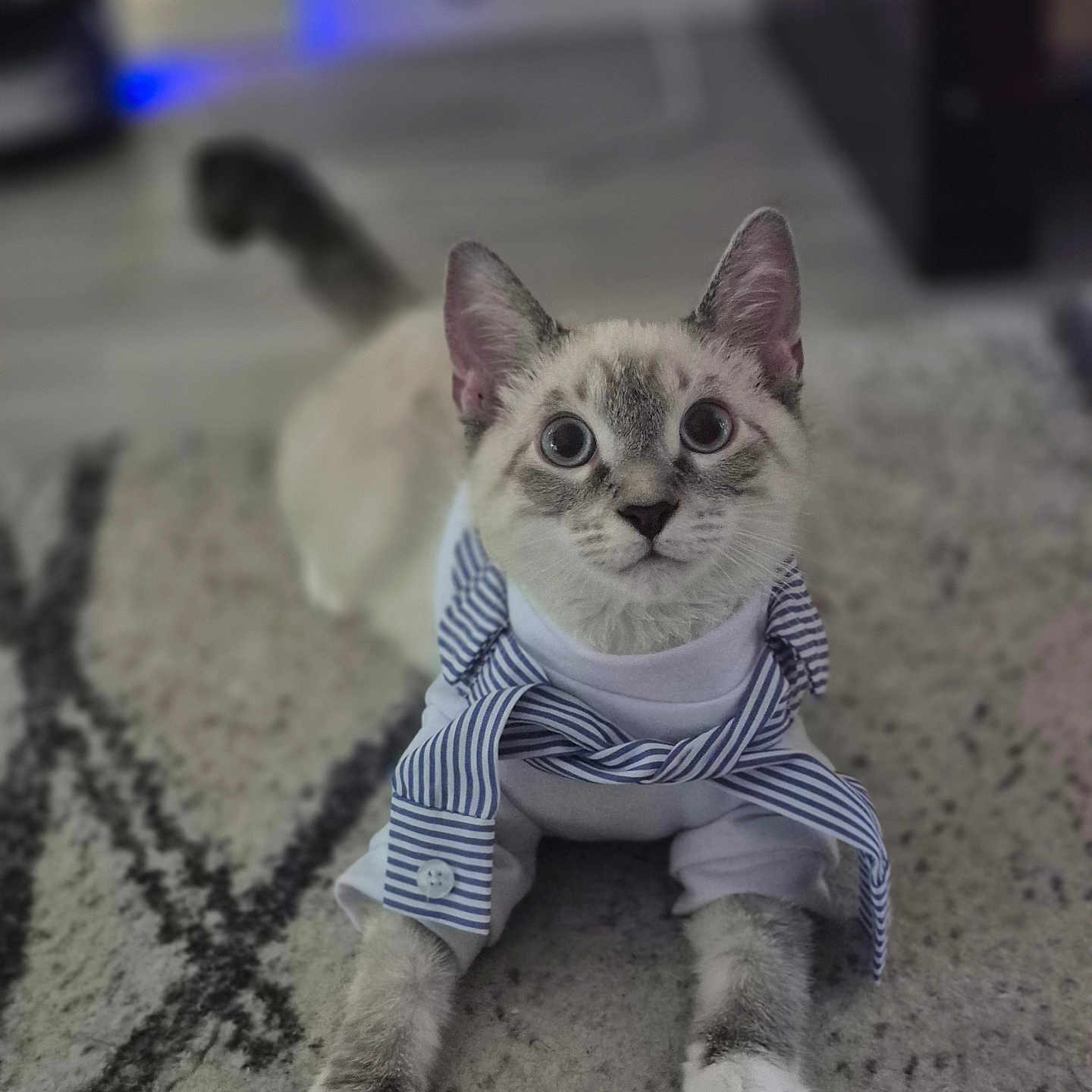 Kaïro