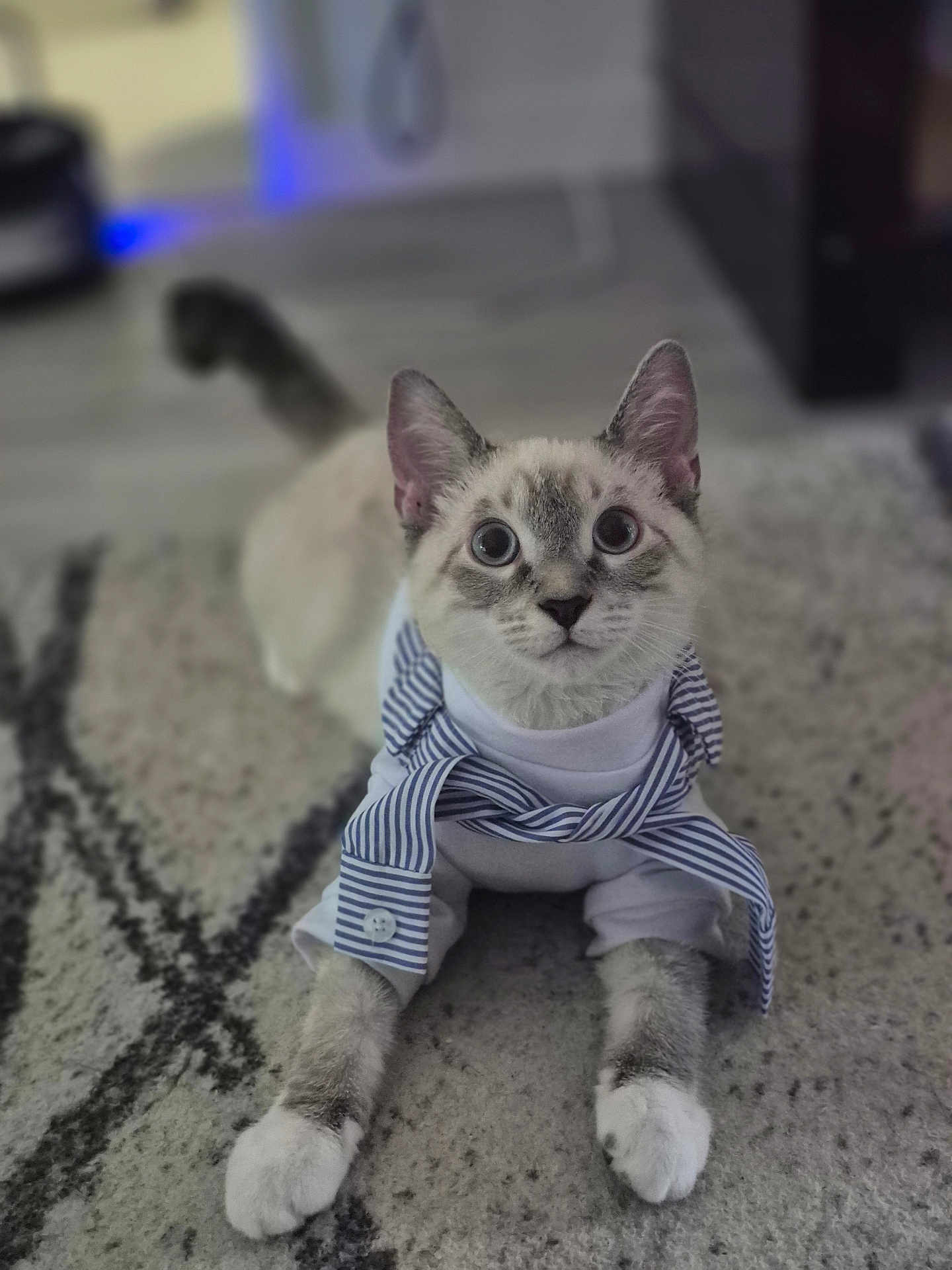 Kaïro