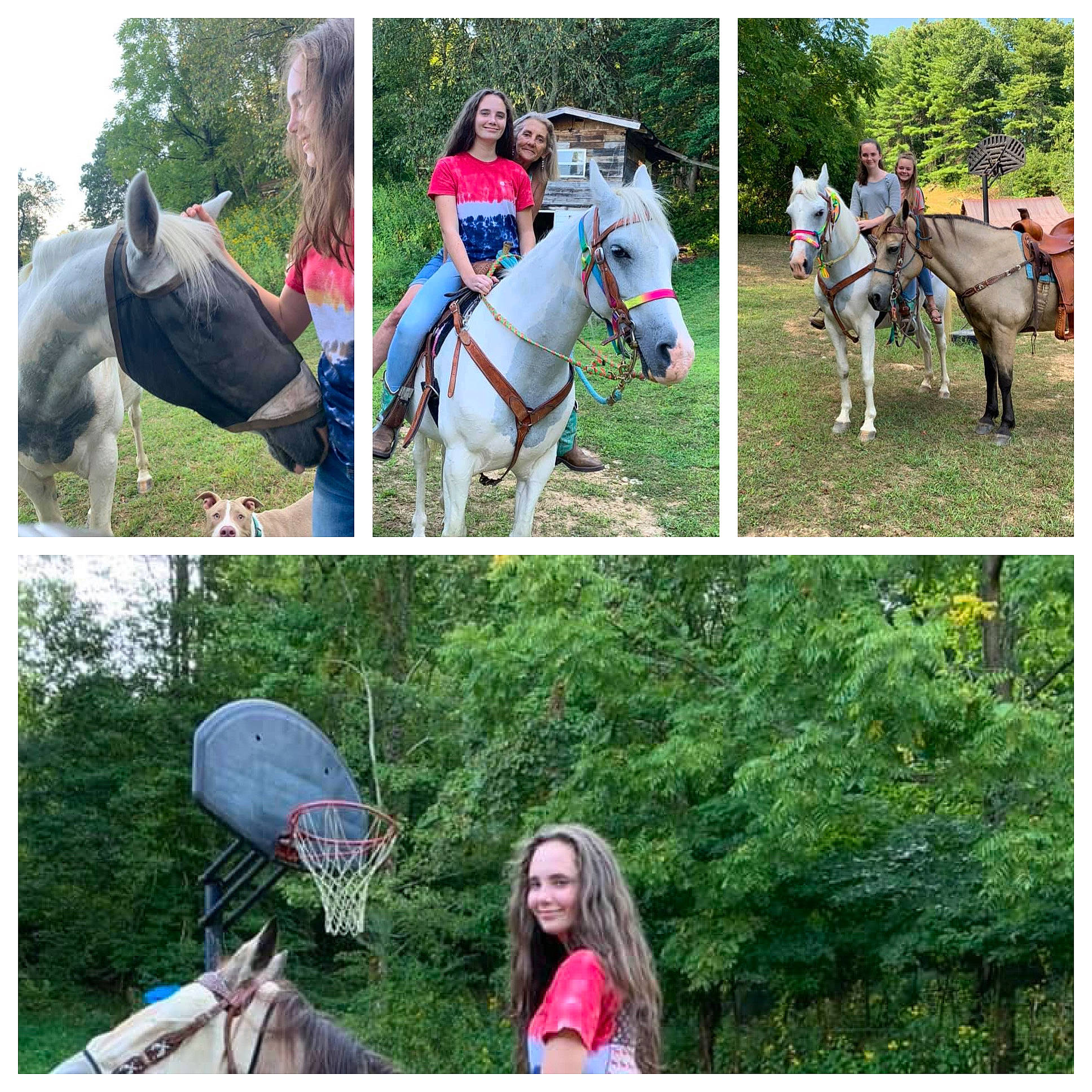 Katelynn joined the competition — help win amazing prizes! adaptation, animal_sports, bridle, equestrianism, forest, grass, horse, horse_tack, joy, mare, organism, pack_animal, person, photography, plant, recreation, rein, riding_instructor, team, trail_riding
