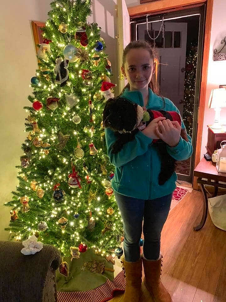 Katelynn joined the competition — help win amazing prizes! christmas, christmas_decoration, christmas_eve, christmas_ornament, christmas_tree, colorado_spruce, conifer, event, evergreen, fir, holiday, holiday_ornament, home, houseplant, interior_design, joy, person, pine, pine_family, plant