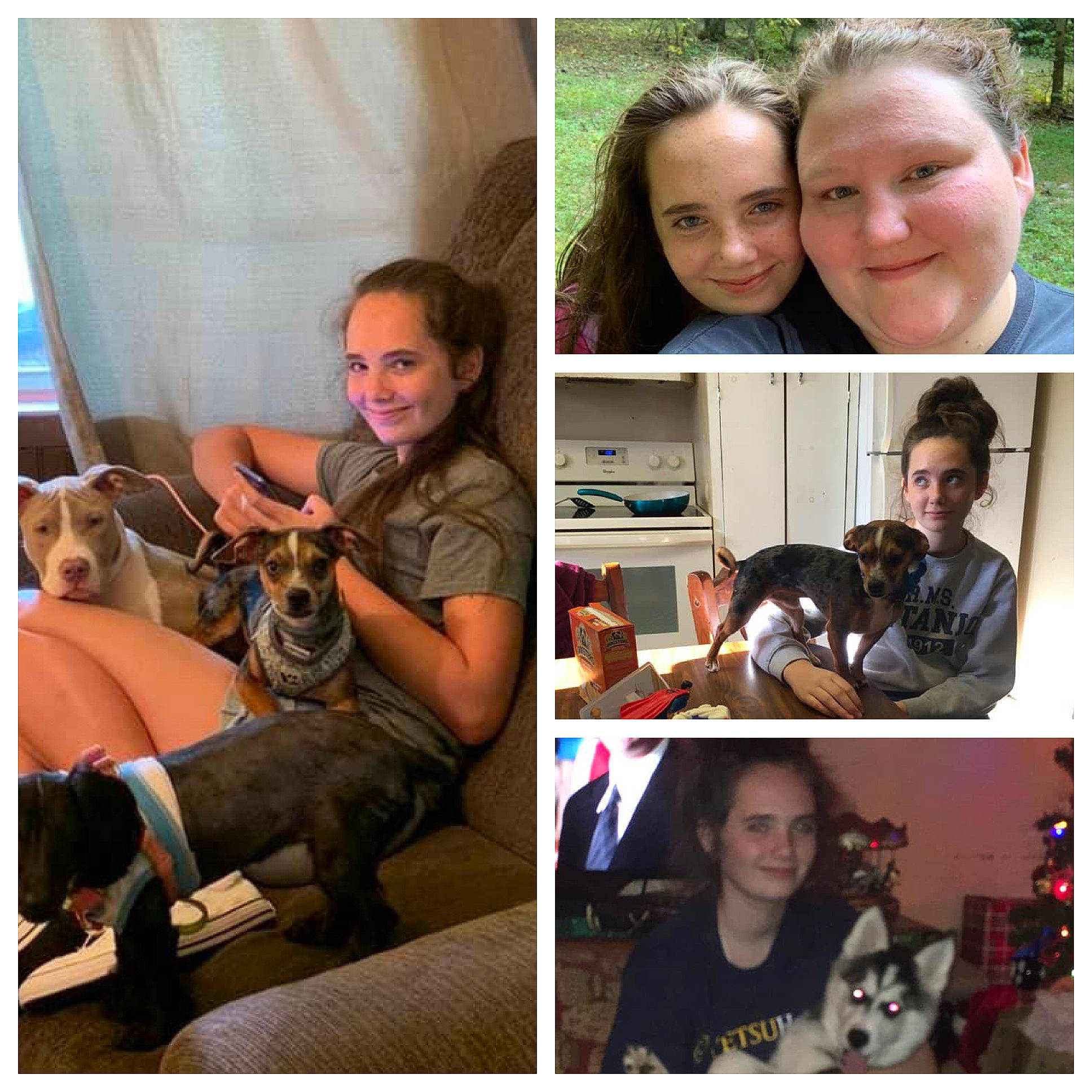 Katelynn joined the competition — help win amazing prizes! art, canidae, collage, dog, dog_breed, ear, family, fawn, guard_dog, happy, joy, love, people, person, photo_caption, photography, puppy, puppy_love, selfie, smile