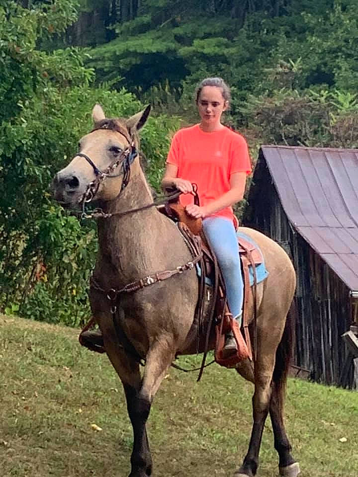 Katelynn joined the competition — help win amazing prizes! animal_sports, bridle, equestrianism, halter, horse, horse_supplies, horse_tack, mammal, mane, mare, pack_animal, person, ranch, recreation, rein, riding_instructor, saddle, stallion, trail_riding, vertebrate
