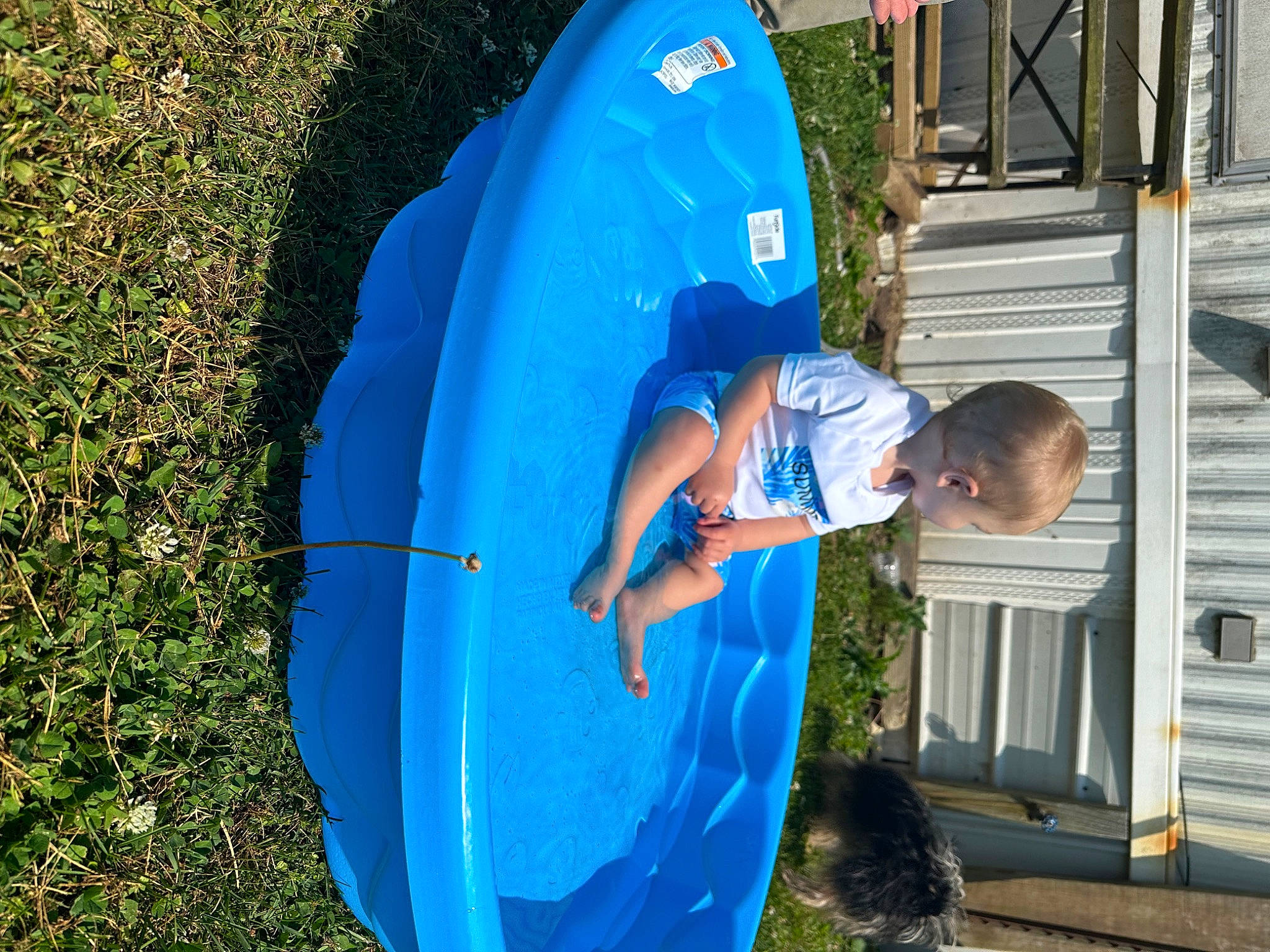 Braeden is registered to the contest to win money with this photo: blue, child, chute, electric_blue, fun, grass, inflatable, leisure, outdoor_play_equipment, people_in_nature, person, plant, play, playground_slide, recreation, shade, shorts, soil, t_shirt, toddler