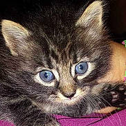 Aloha a rejoint le concours — aidez-le/la à gagner de superbes lots !